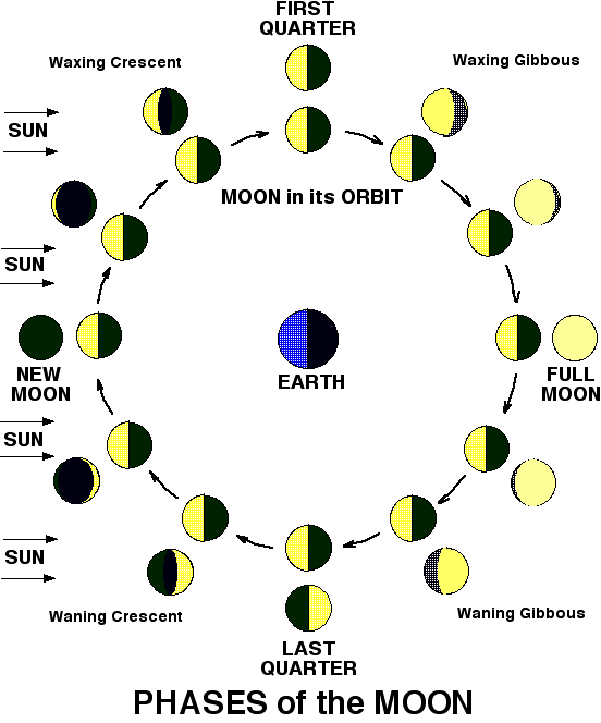 Lunar Phases