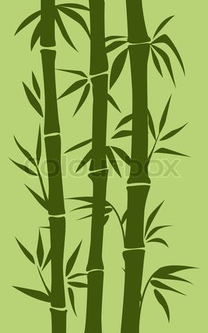 bamboo