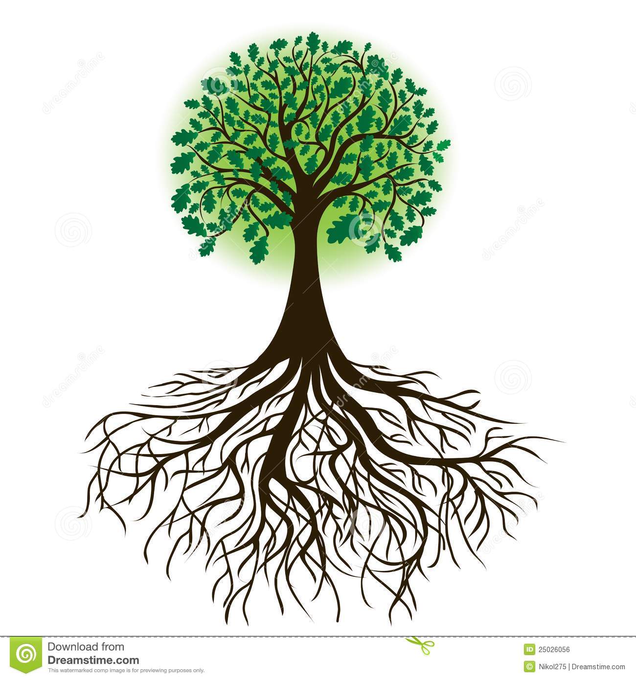 roots