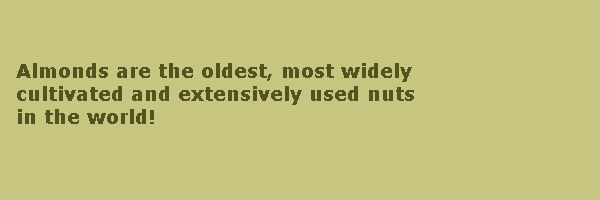 trivia