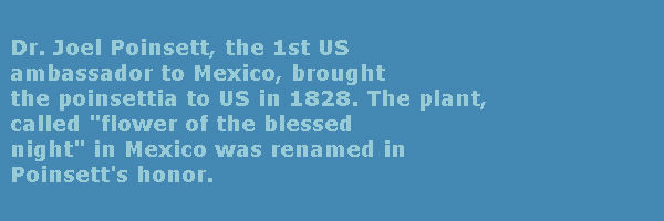 trivia