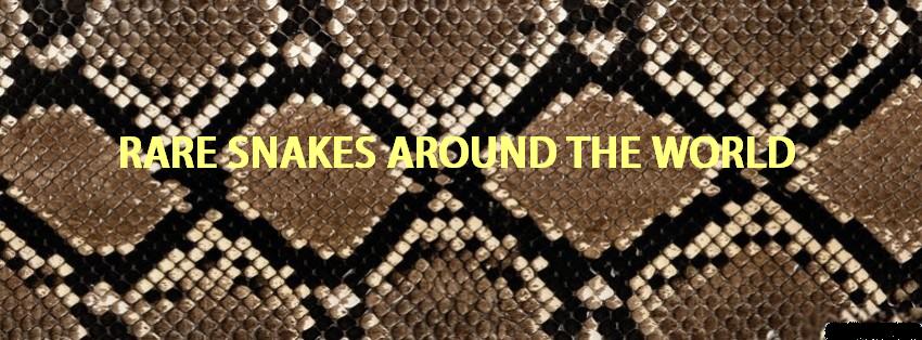 HOMEPAGE BANNER