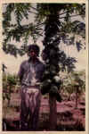 8.jpg (22323 bytes)