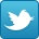 Twitter Icon