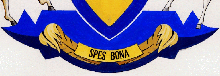 Table Mountain as the compartment (stand for supporters) in the arms of Western Cape Province