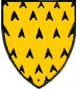 arms of Van der Eze - a plain shield of erminois