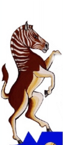 quagga supporter in arms of Western Cape Province