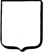 a square or rectangular shield