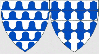 vair and counter-vair