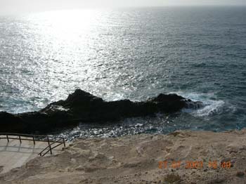 DSCN0939