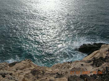 DSCN0941