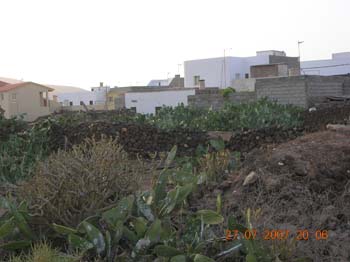 DSCN0962