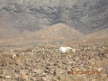 DSCN0976