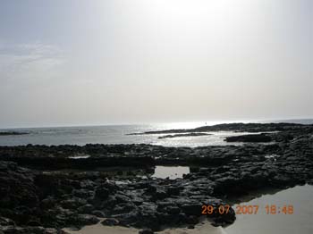 DSCN0986