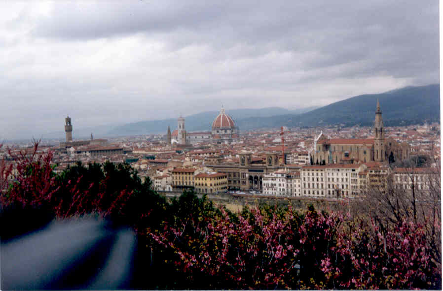 Una vista de Florencia...olvidé apartar la funda de la máquina, jeje