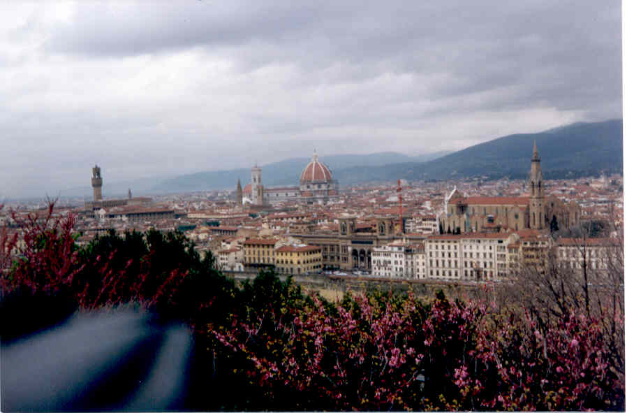 Una vista de Florencia...olvid&eacute; apartar la funda de la m&aacute;quina, jeje