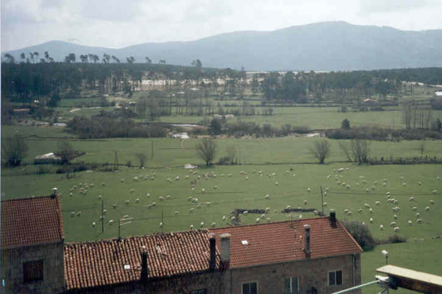 quintanar