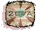 2CVA