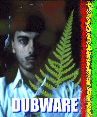 Dubware