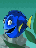 Pez cirujano azul