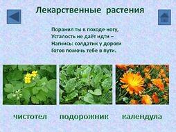 экстрим на воде видео