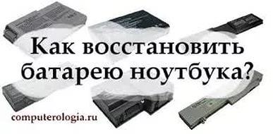 видео про дельфинов для детей