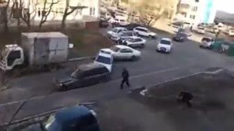 видеоклипы скрипачки