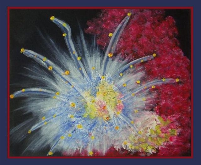 sea anemone