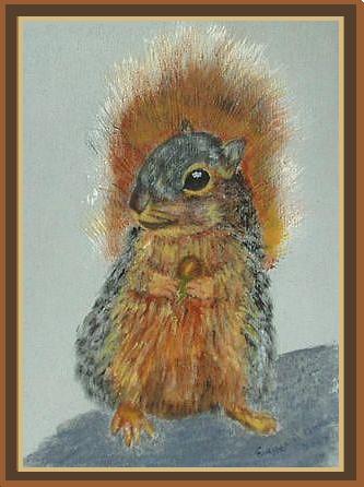 Nutkin