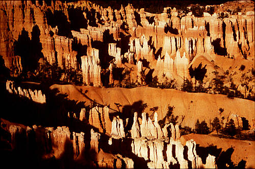 The famous National Parks in California, Nevada, Utah, Arizona, New Mexico, Colorado, Wyoming, South Dakota etc. are just some of many USA motifs available here at STAR SHOP AMERICA ! - Visit a large collection of T-Shirts, Sweat-Shirts, Coffee Cups, Mugs, Posters, Postcards, Greeting Cards, Stamps, Buttons, Stickers, Journals, Mousepads, Caps, Infant Wear, Tile Boxes & much more ! - We have all kinds of items in store with themes from the American West, from the Rocky Mountains States and their famous National Parks as well as other US regions !