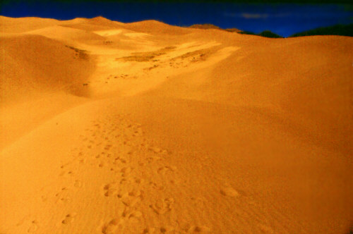 Great Sand Dunes National Monument, Colorado is just one of many USA motifs available here at STAR SHOP AMERICA ! - Visit a large collection of T-Shirts, Sweat-Shirts, Coffee Cups, Mugs, Posters, Postcards, Greeting Cards, Stamps, Buttons, Stickers, Journals, Mousepads, Caps, Infant Wear, Tile Boxes & much more ! - We have all kinds of items in store with themes from the American West, from the Rocky Mountains States and their famous National Parks as well as other US regions !