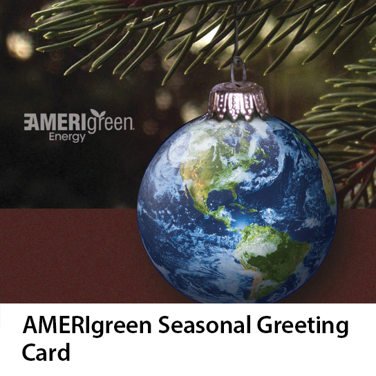 Amerigreen Card