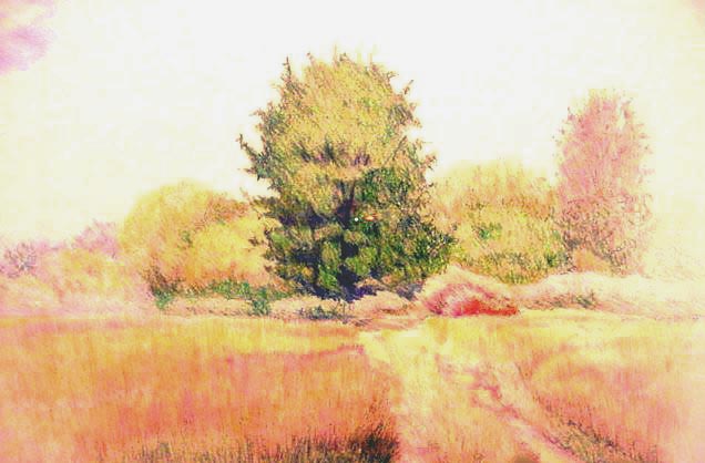 Bluffer's Park