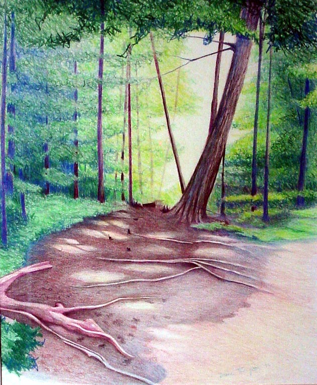 Cottage Road