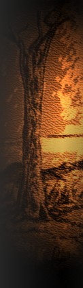 disegno, carta e carboncino,sfumature, opera di M.L.