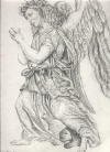 disegno realizzato da m.l. opera carboncino e carta