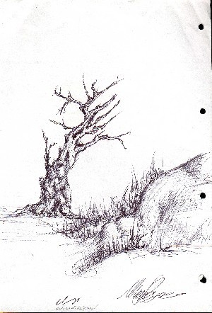 opera realizzata da M.L.  carta e carboncino