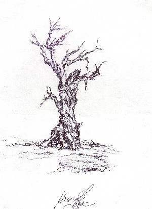 opera realizzata da M.L.  carta e carboncino