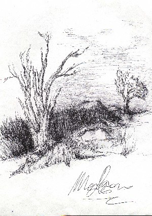 opera realizzata da M.L.  carta e carboncino