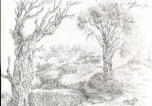 opera realizzata da M.L.  carta e carboncino