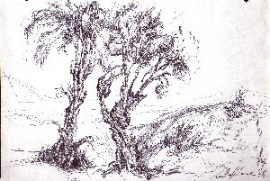 opera realizzata da M.L.  carta e carboncino