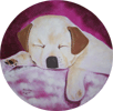 Cachorrinho - Acr&iacute;lica sobre  tela.