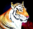 Tigre - Acr&iacute;lica sobre  tela.
