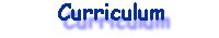 Curriculum de Jorge Castro Fl�rez