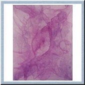 Pervasion of Amethyst