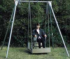 TFH Wheelchair Swing