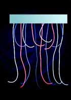 Line Lite Tubing