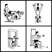 px15.gif (5365 bytes)