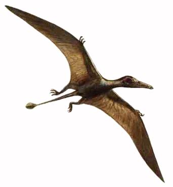 PTERODÁCTILO ENCONTRADO VIVO NA AFRICA (KONGAMATO O RÉPTIL VOADOR