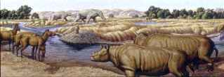 Miocene scene with horses, hornless rhinos and mastodonts - click for more details